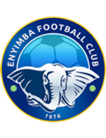 Enyimba Team Logo