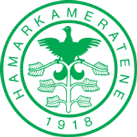 HamKam Team Logo