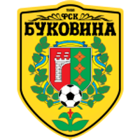 Bukovyna Team Logo