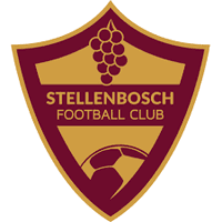Stellenbosch Team Logo