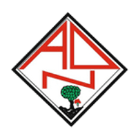 AD Nogueirense Team Logo