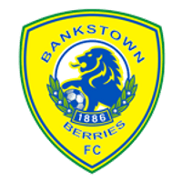 Bankstown Berries Team Logo
