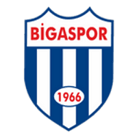 Bigaspor Team Logo