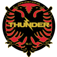 Dandenong Thunder Team Logo