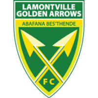 Golden Arrows Team Logo