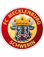Mecklenburg Schwerin Team Logo