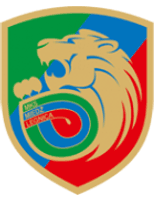 Miedź Legnica II Team Logo