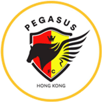 Pegasus Team Logo