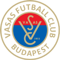 Vasas Team Logo