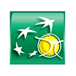 WTA Istanbul Logo