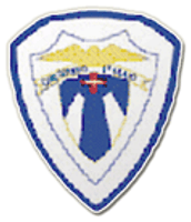 1º Maio Funchal Team Logo
