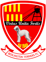 Bedlington Terriers FC Team Logo