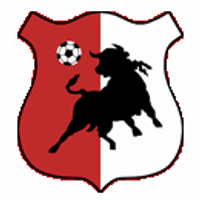Bonyhad Volgyseg Team Logo