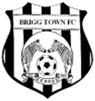 Brigg Town Team Logo