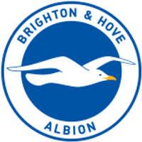Brighton & Hove Albion Team Logo