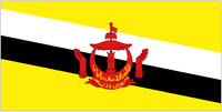 Brunei Darussalam Team Logo