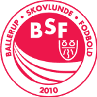 BSF Team Logo