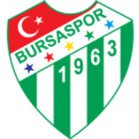 Bursaspor Team Logo