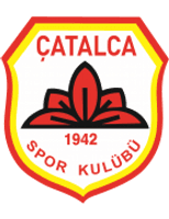 Çatalcaspor Team Logo