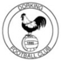 Dorking Wanderers Team Logo