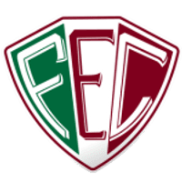 Fluminense PI Team Logo