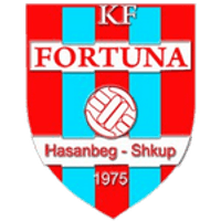 Fortuna Skopje Team Logo