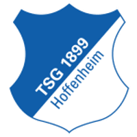 Hoffenheim II Team Logo