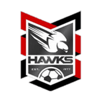 Holland Park Hawks Team Logo