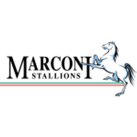 Marconi Stallions Team Logo
