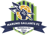 Marumo Gallants FC Logo