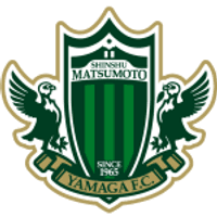 Matsumoto Yamaga Team Logo