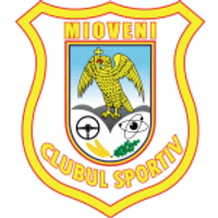 Mioveni Team Logo