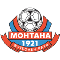 Montana Team Logo