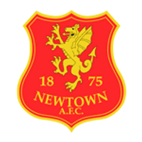 Newtown Team Logo