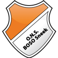 ONS Sneek Team Logo