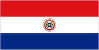 Paraguay U17 Logo