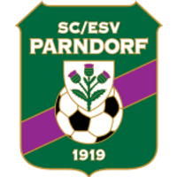 Parndorf Team Logo