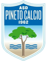 Pineto Team Logo
