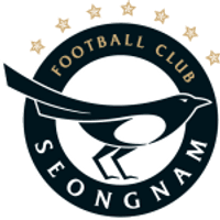 Seongnam Logo
