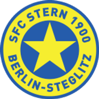 Stern Team Logo