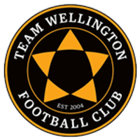 Team Wellington Logo