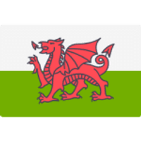 Wales Team Logo