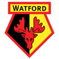 Watford U18 Logo