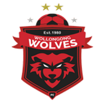Wollongong Wolves Team Logo
