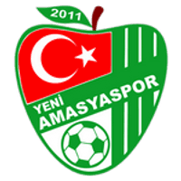 Yeni Amasyaspor Team Logo