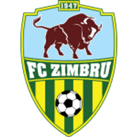 Zimbru Team Logo