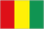 Guinea Logo