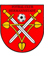 Hermannstadtlogo