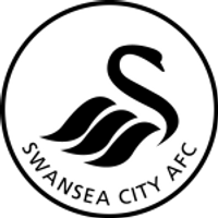 Swansea Citylogo
