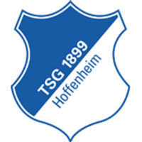 TSG Hoffenheimlogo